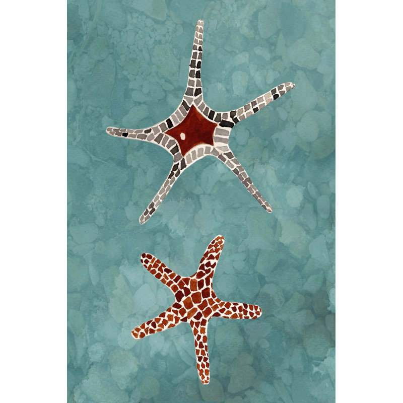 Twin Starfish I by Alicia Ludwig - Wrapped Canvas Painting, 46cm H x 30cm W x 3.8cm D