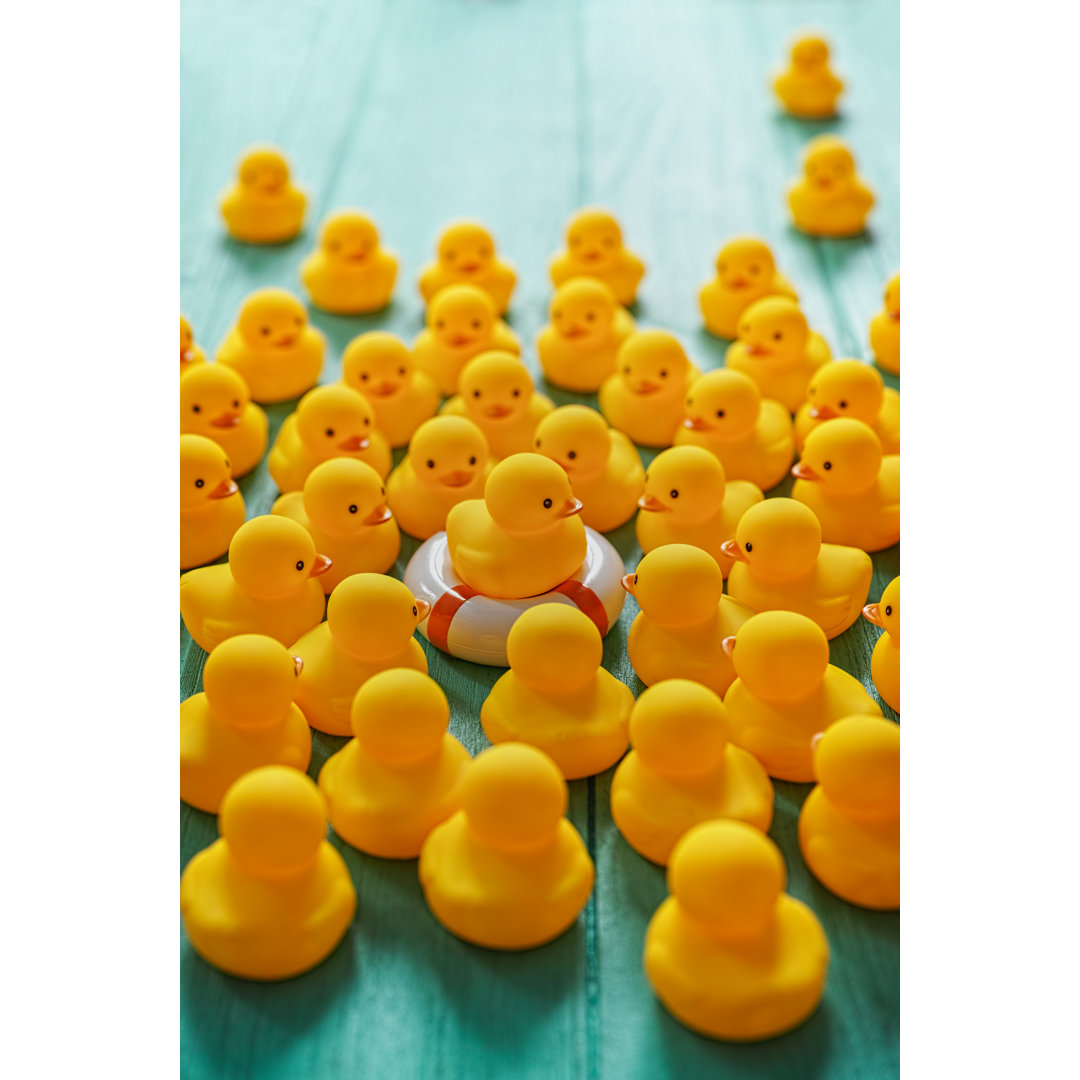 Closeup Of Toy Ducks von Enviromantic - No Frame Print auf Leinwand