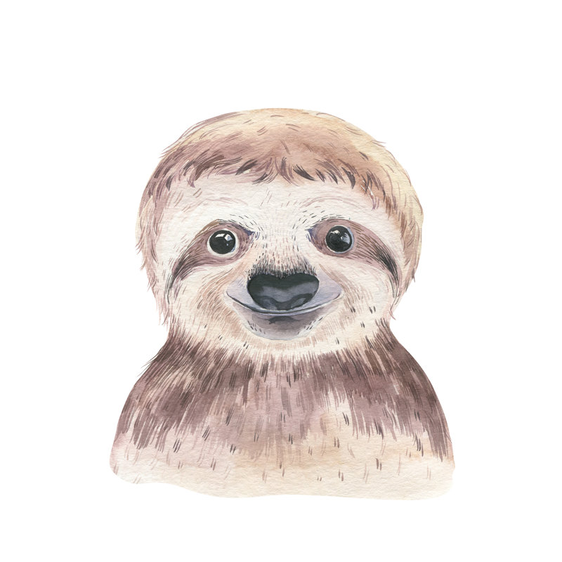 Sloth - Wrapped Canvas Painting, 46cm H x 30cm W x 3.8cm D