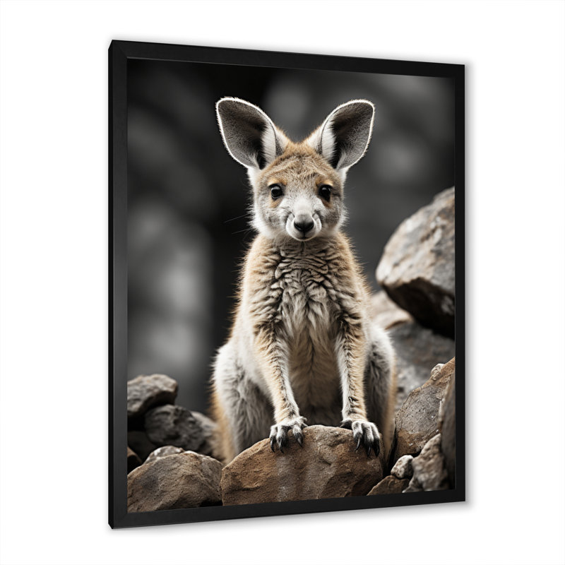 Décoration murale kangourou lié - animaux, Cadre photo noir, H 44 po x l 34 po x P 1,5 po