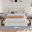 Double Size Storage Platform Bed With Charging Station And Smart Control RGB LED Lights, Upholstered Bed Frame With Storage Drawers, USB & Type-C Charging Ports, No Box Spring Needed, Easy to Assembly