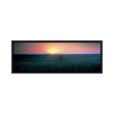 " Corn Field At Sunrise Sacramento Country, California "