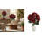 Hydrangea Bush-292098869