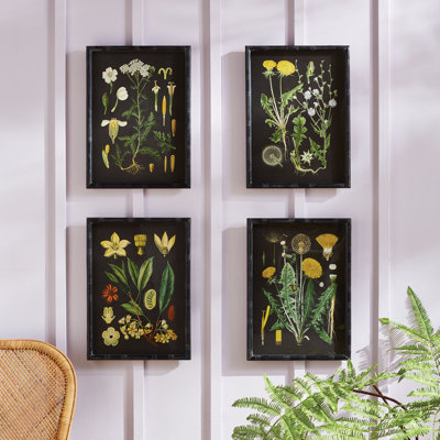 Pinar Golden Botanical Study - ensemble de 4 impressions encadrées