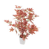 69cm Faux Maple Tree in Pot