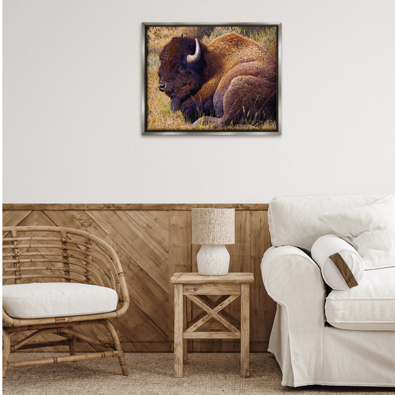 «Relaxing Young Bison Gray» par Rod Lawrence, H 25 po x l 31 po, Cadre flottant gris lustré