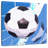 Sireci Goal-109357806