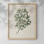 Motif floral rétro CXL III-1297683524-1297683525