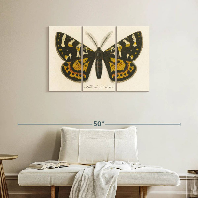 Brampt Natures Butterfly V, 24" H x 38" W