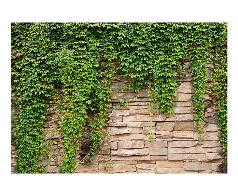 Leianah Peel & Stick Roll, 41.3" L x 57.9" W