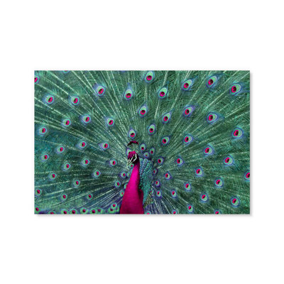 On Plastic/Acrylic Print