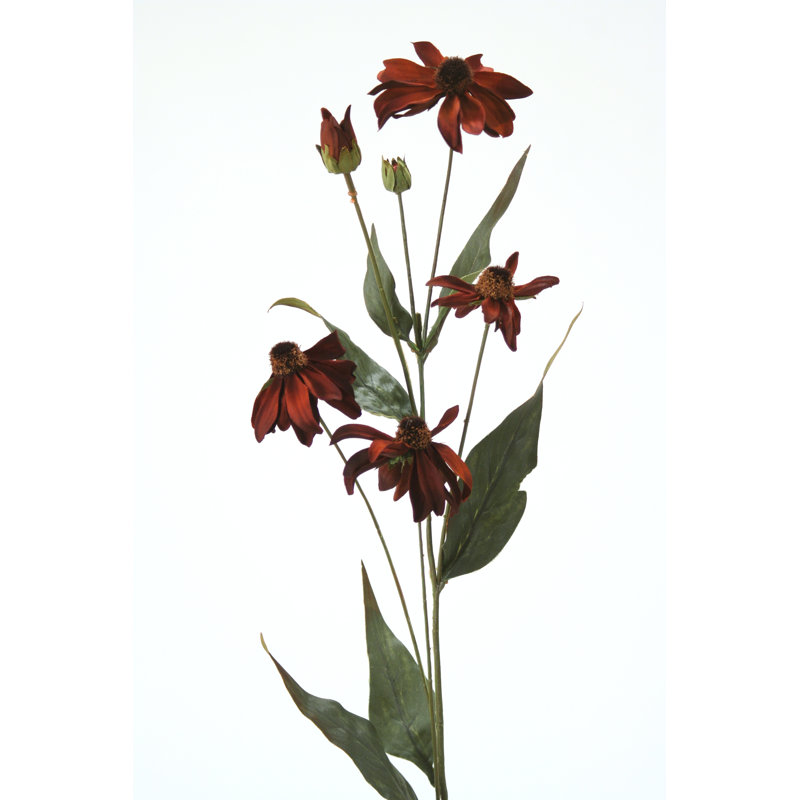 Arrangement, Rust