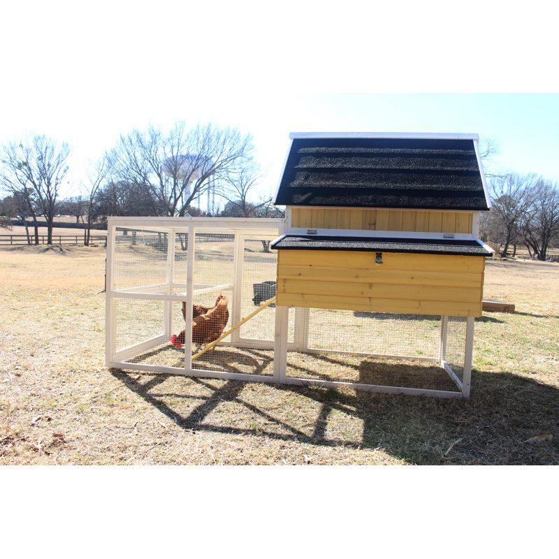 23.4 Square Feet with Chicken Run