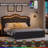 Mouad Velvet Upholstered Bed with Storage and LED Lights-214976839-214976838