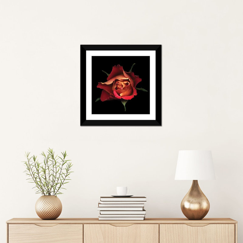 Le baiser d'une rose, reproduction de photo sur toile tendue, H 16 po x l 16 po x P 1 po, Papier d'art encadré noir, Blanc