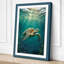 Turtle in Light Coastal - Wrapped Canvas-978167312-978167322