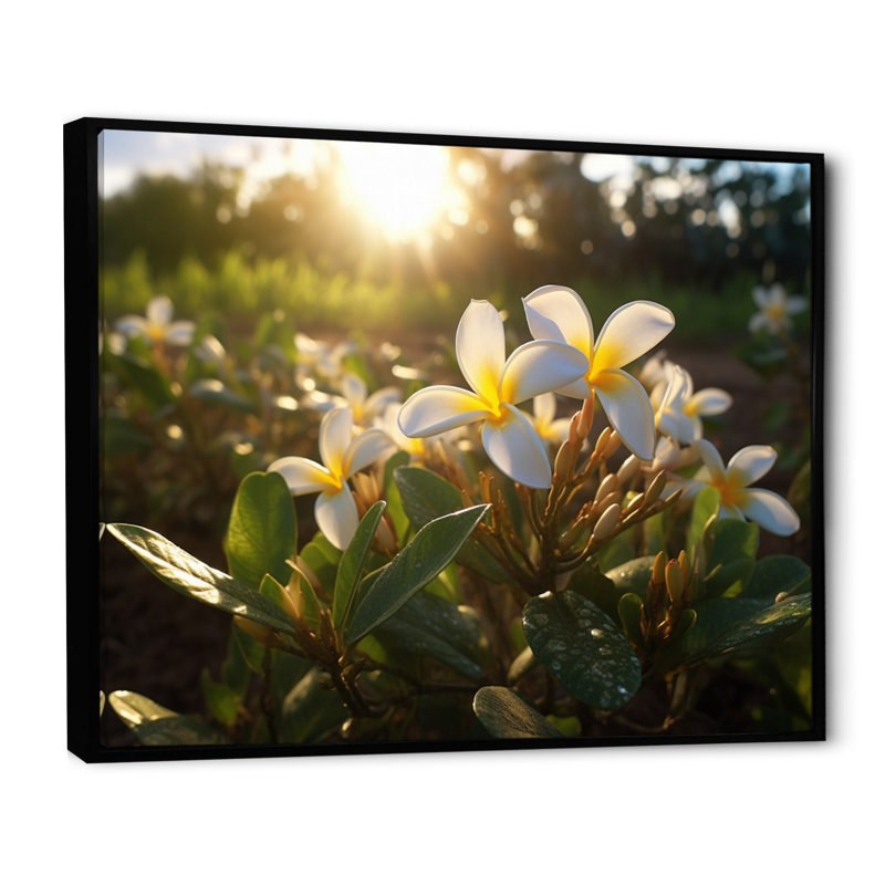 Jaune jaune blanc exotique Plumeria Blooms III sur toile, H 16 po x l 32 po x P 1 po, Cadre flottant noir