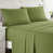 Calla Green