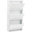 Shoe Container Caruso for 6 Pair of Shoes-36516209