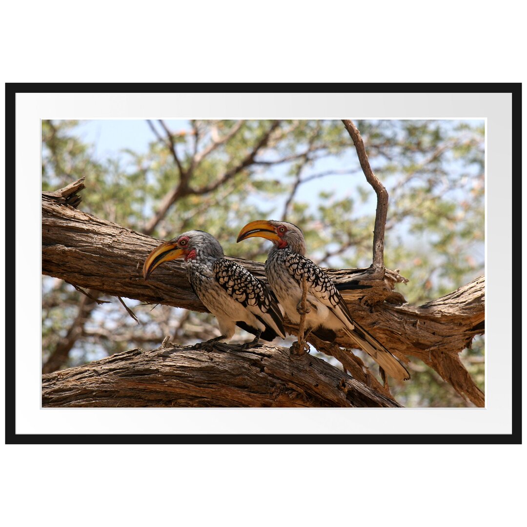 Gerahmtes Poster Zwei Vögel auf einem Baum