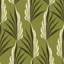 Areca Palm - Wallpaper-114676485-152452638