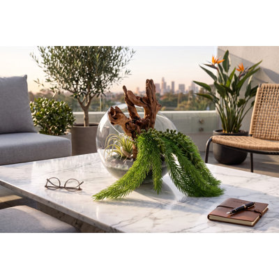 Handcrafted Faux Succulent Arrangement | Clear Glass Vase, Driftwood, Air Plants (12" W)