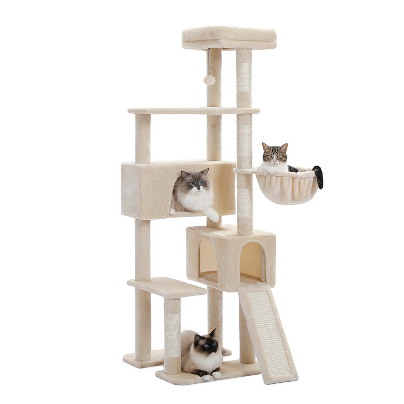 Grand arbre à chat, Beige