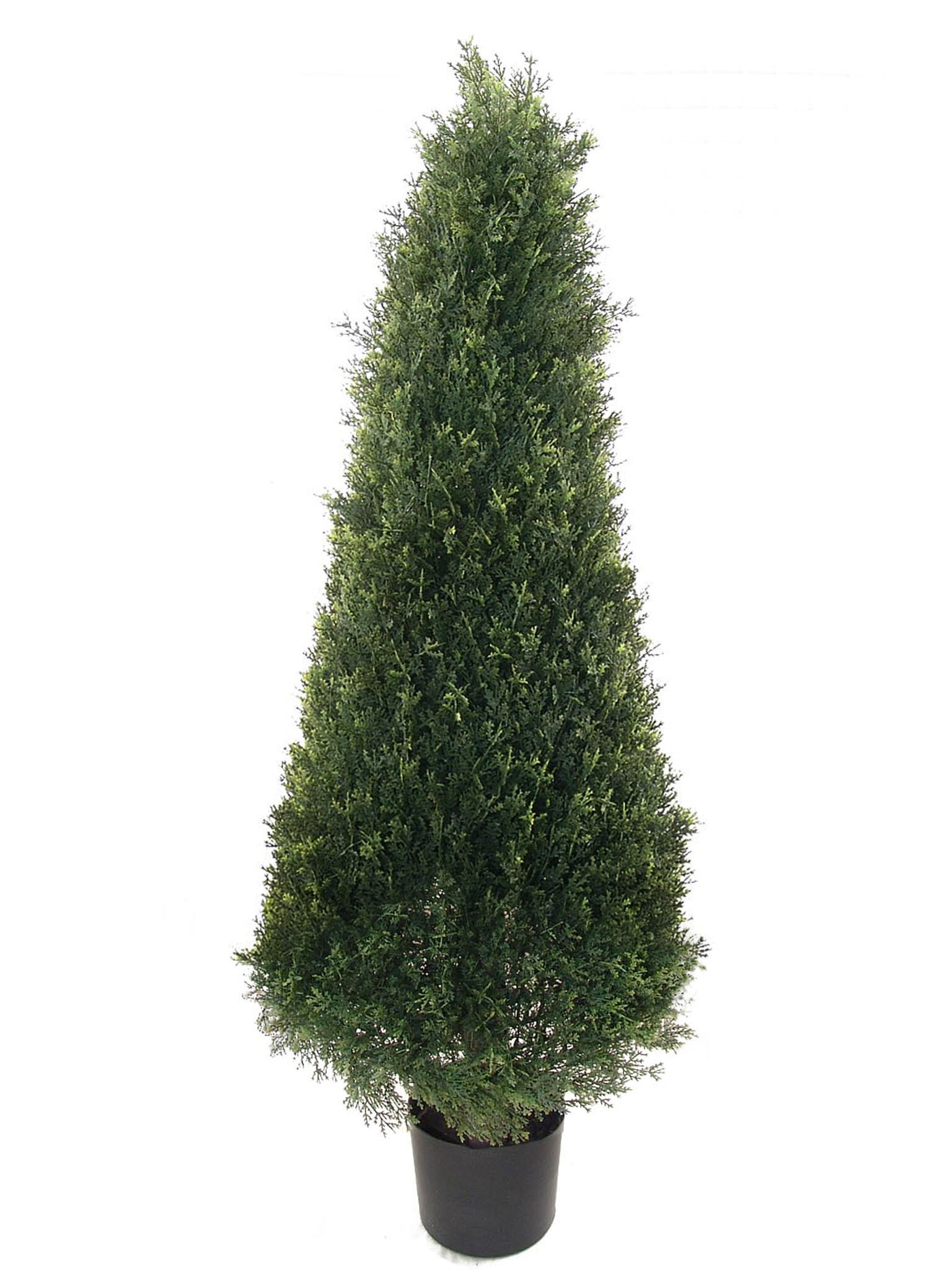 Primrue 4.5'' Artificial Cedar Topiary in Planter | Wayfair