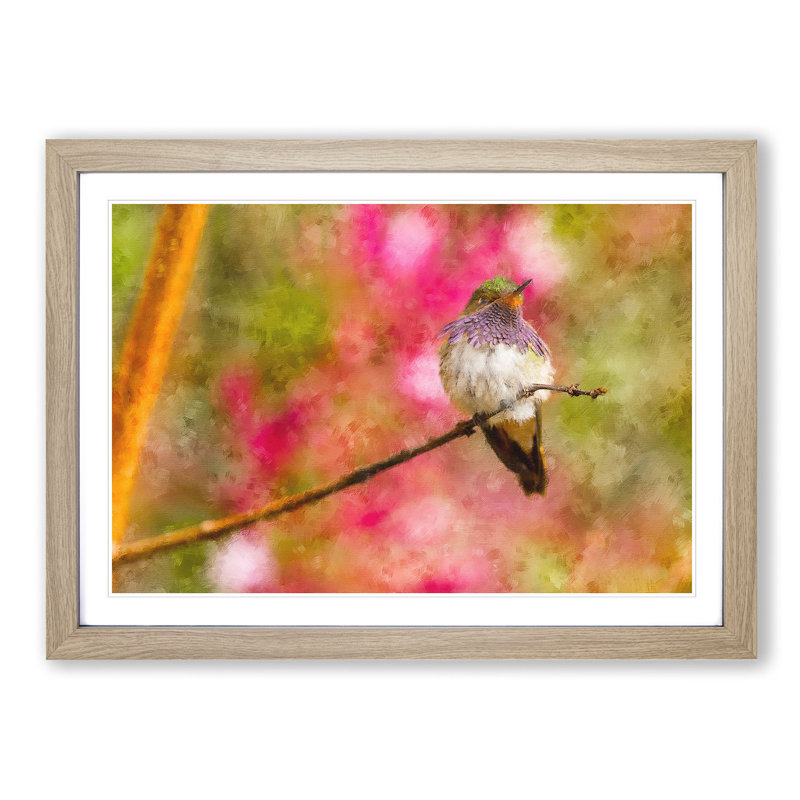 Hummingbird - Picture Frame Graphic Art Print, Oak Framed, 27cm H x 36cm W x 2cm D