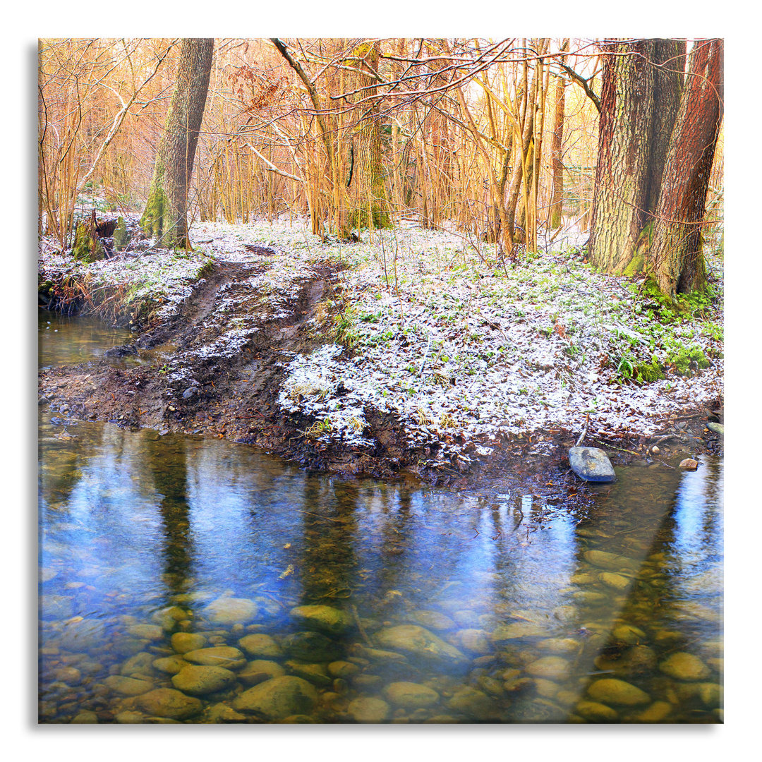 Glasbild Schneebedeckter Waldboden