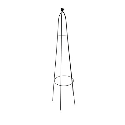 Support pour plantes grimpantes RHS Queen Obelisk Classic de 47 po en acier thermolaqué