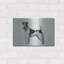 «Fox Terrier» par Harro Maass-1514001597