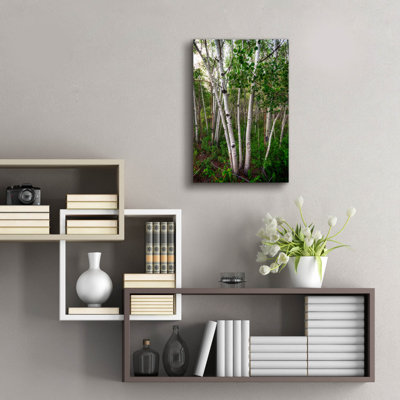 Millwood Pines 'Aspens' by Rick Berk Acrylic Glass Wall Art