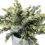 2 - Piece Artificial Plant Set