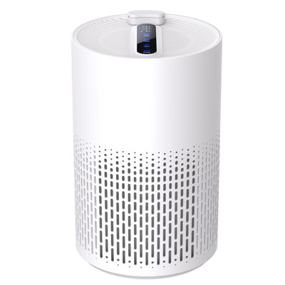 Purificateurs d'air pour la chambre à coucher, filtre HEPA véritable H13 pour les allergies A11, pollen, fumée, poussières, squames d'animaux, odeur, cheveux, sans ozone, 20db silencieux pour la maison, la chambre, la cuisine, certification SGS - AC40