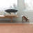 Sweatshirt Easy Care Rug-766483985-748451463