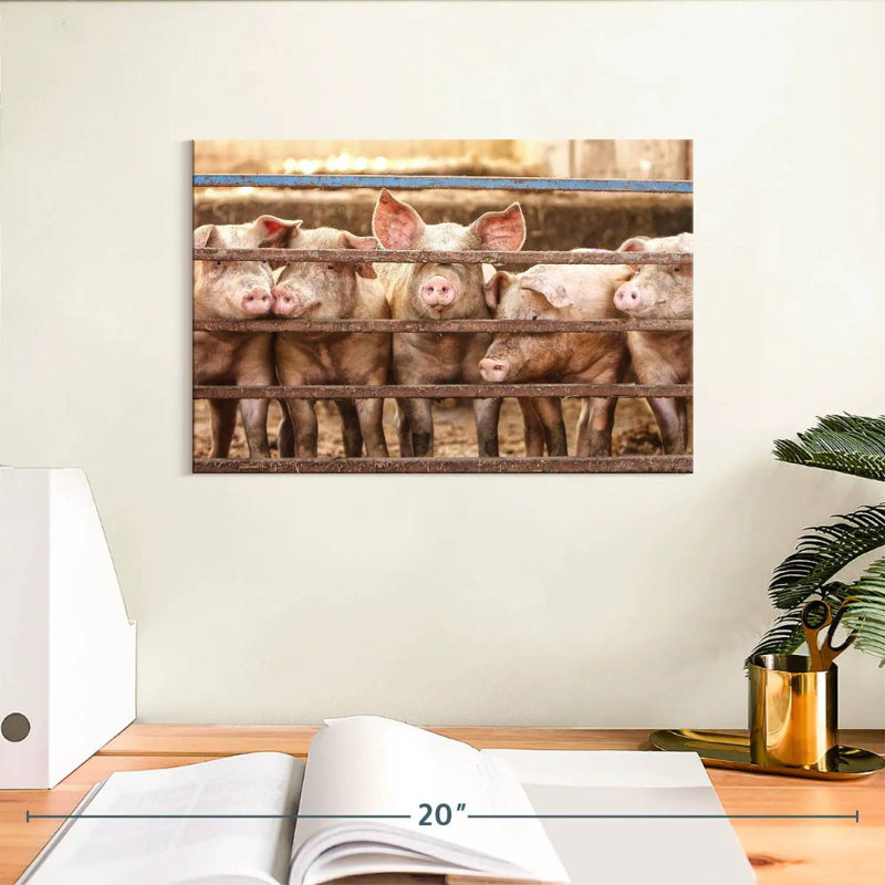 Brampt Pigs In Cage, 8" H x 12" W