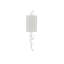 Baneberry 1 - Light Flush Mounted Sconce