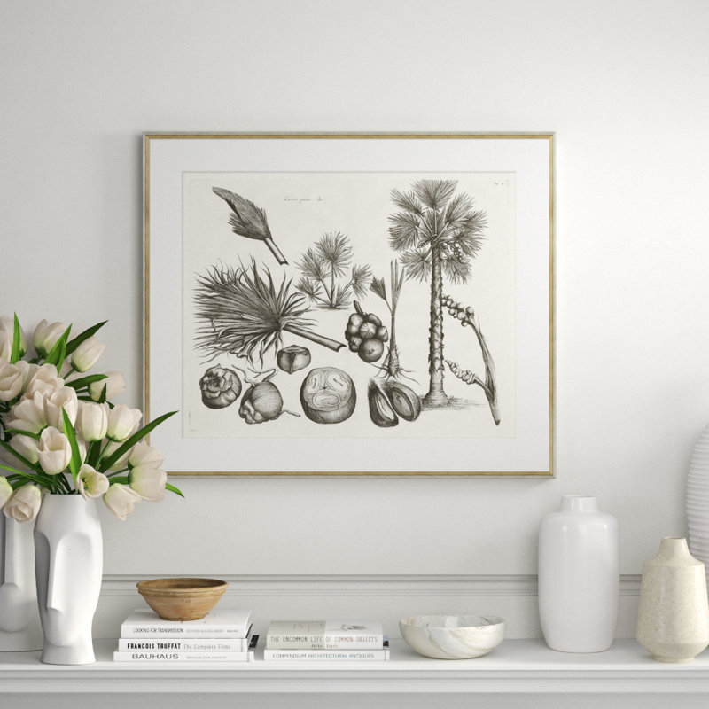 Malaberica Brittanica 2 Giclee Print