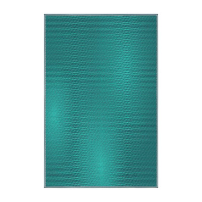Indoor Rug