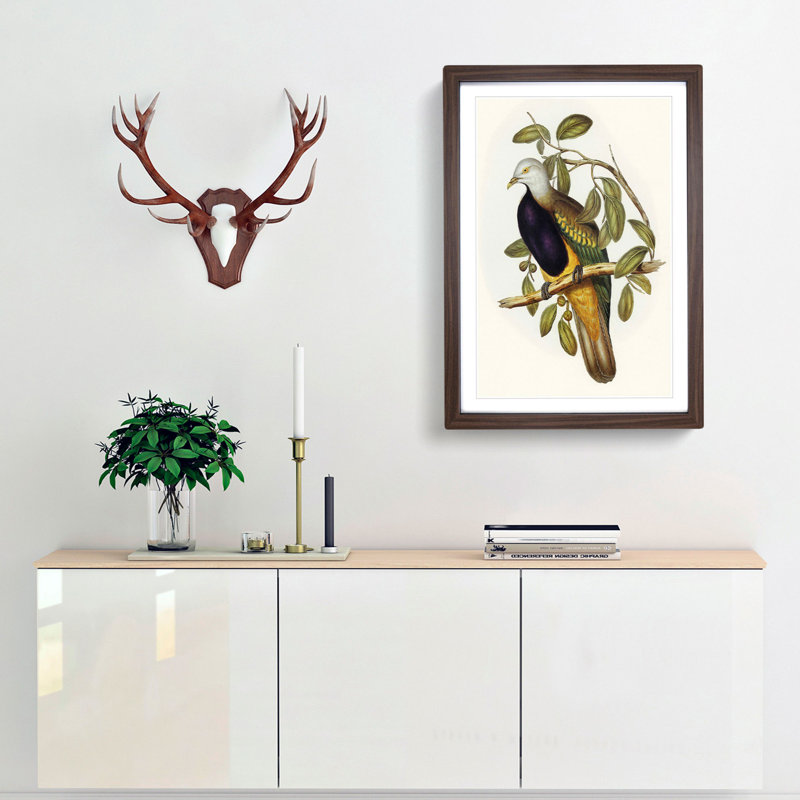 Magnificent Fruit Pigeons by Elizabeth Gould - Framed Print, 65cm H x 48cm W x 2cm D, Walnut Framed