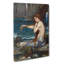 A Mermaid Vol.1 by John William Waterhouse - Wrapped Canvas-61854637