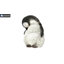 Pingouin dormant