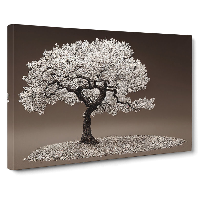 Splendid Tree - Wrapped Canvas, 40cm H x 60cm W x 3cm D