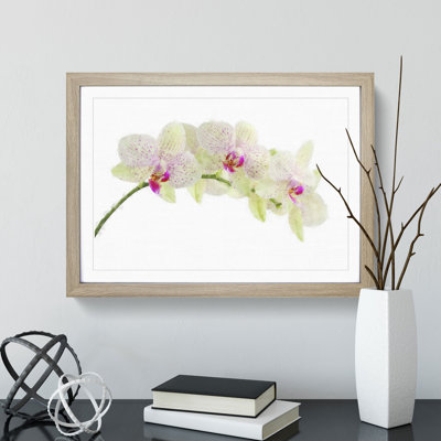 Orchid Flowers Vol.1 - Framed Print