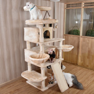 Lima Pet Heavy Duty Carpet 68 Inch Multi-Level Cat Tree Condos and Scratching Posts Included