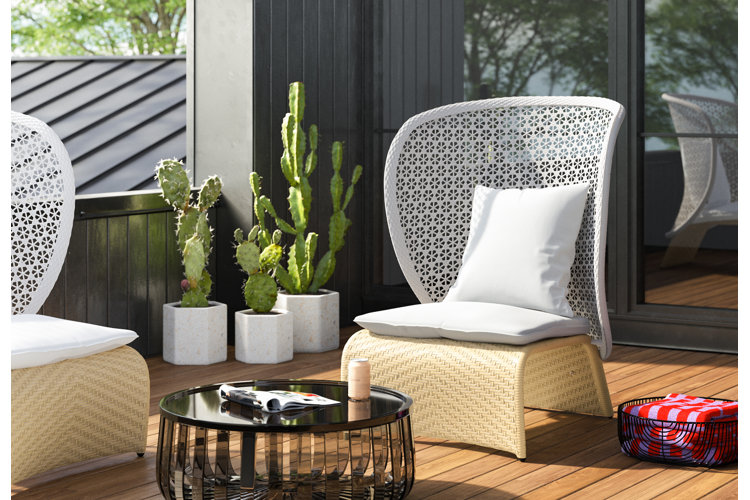 Modern garden decor with cactus plants and firepit