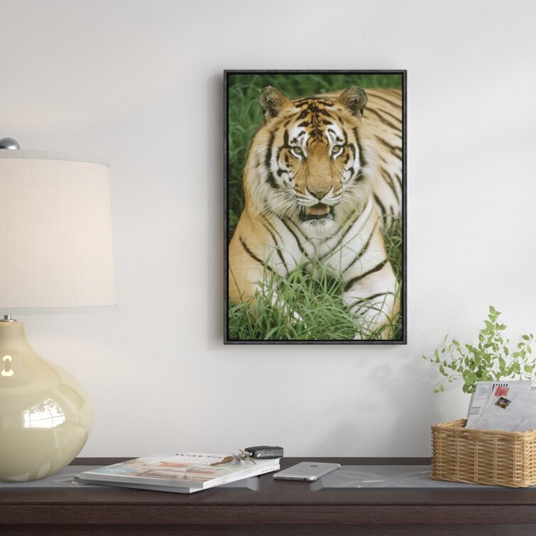 Bless international Bengal Tiger Portrait Framed On Canvas Print | Wayfair