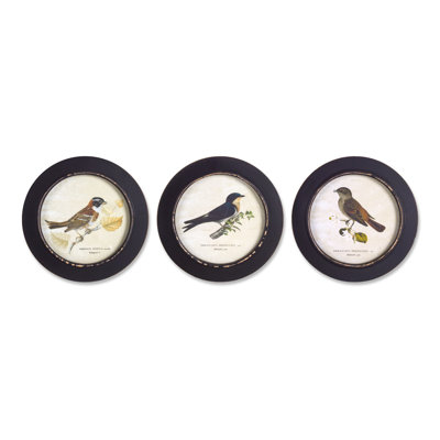 Wood Framed Encyclopedia Bird Print