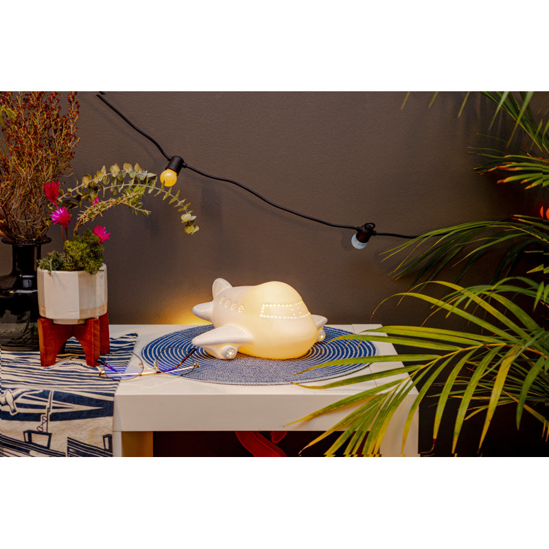 Belview Porcelain Novelty Lamp